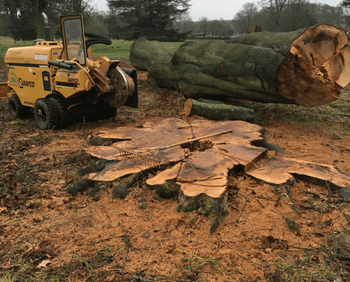 SP-Landscapes-stump grinder