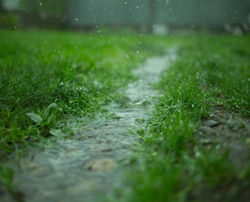SP-Landscapes-Preparing-for-Wet-Weather